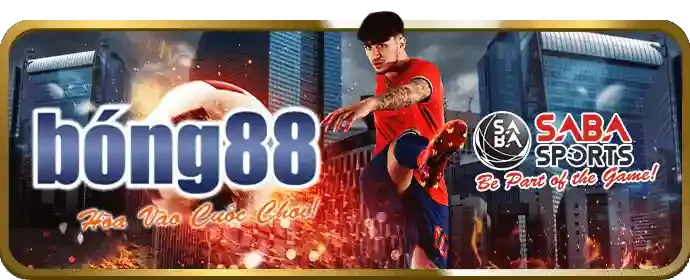 Điền thông tin đăng ký Betvisa